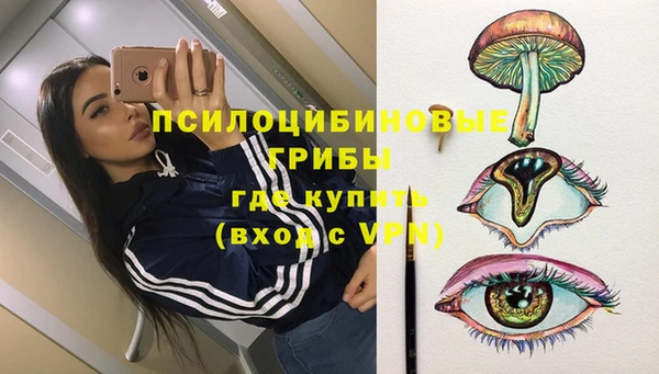 спиды Майский