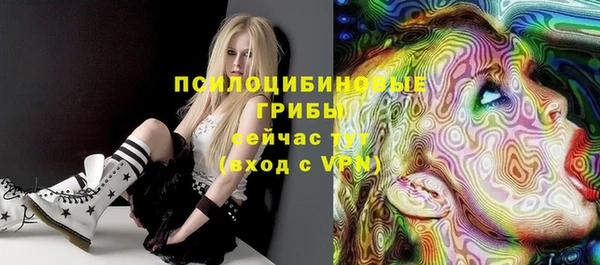 спиды Майский