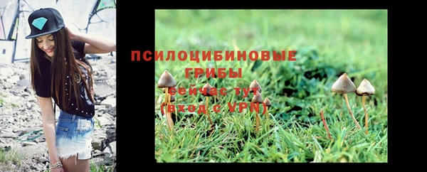 альфа пвп Магадан