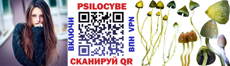 Галлюциногенные грибы Psilocybine cubensis  Ртищево 